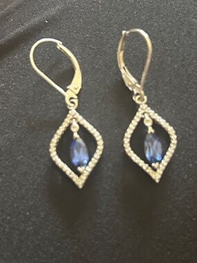 Elegant Blue Teardrop Dangle Earrings - Silver Tone